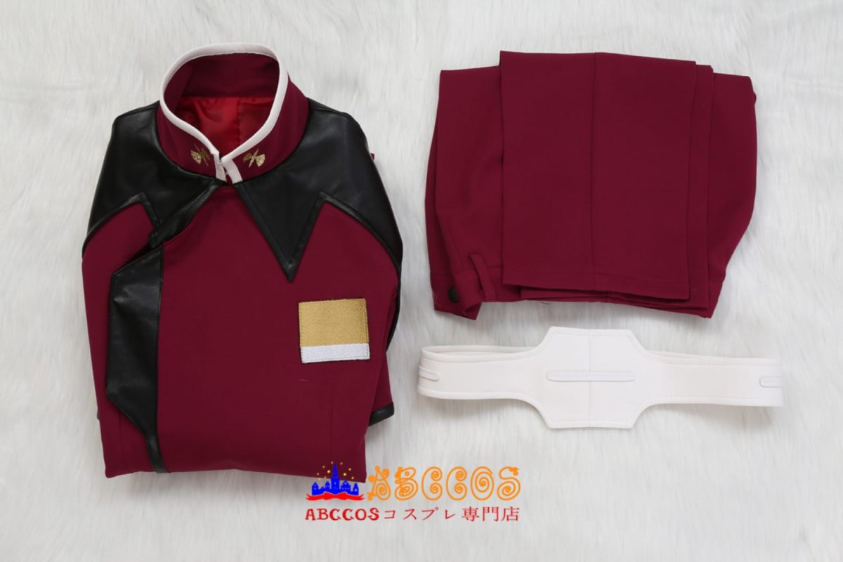 画像13: アスラン・ザラ コスプレ衣装 abccos製 「受注生産」 (13)