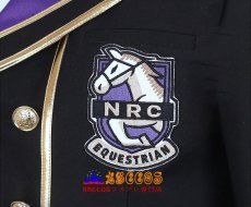 画像9: ディズニーツイステッドワンダーランド Sebek Zigvolt(セベク·ジグボルト) コスプレ衣装 abccos製 「受注生産」 (9)