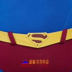 画像8: スーパーマン/Superman マント  コスプレ衣装 オーダーメイド abccos製 「受注生産」 (8)