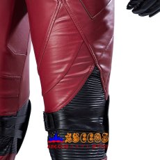 画像23: 映画 THE FLASH/ザ・フラッシュ マルチバース バリー・アレン オーダーメイド バラ売り可 コスプレ衣装 abccos製 「受注生産」 (23)