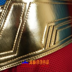 画像20: スーパーガール Supergirl (2026年映画) カーラ・ゾー＝エル / スーパーガール オーダーメイド バラ売り可 コスプレ衣装 abccos製 「受注生産」 (20)