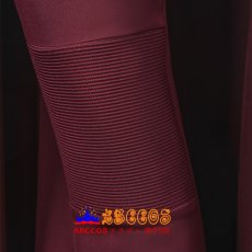 画像22: アベンジャーズ/ドゥームズデイ Avengers：doomsday マグニートー（Magneto）コスプレ衣装 オーダーメイド可能 abccos製 「受注生産」 (22)
