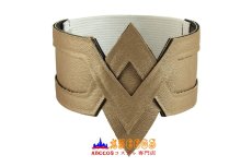 画像16: ワンダーウーマン ジャスティス Wonder Woman Diana Prince ジャスティス・リーグ 修正版 ブーツ付き オーダーメイド可能 コスプレ衣装 アニメ コスチューム ゲーム  バラ売り可 abccos製 「受注生産」 (16)