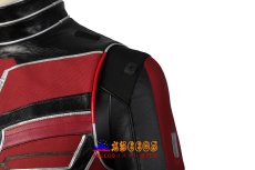 画像19: アントマン&ワスプ:クアントマニア（Ant-Man and the Wasp: Quantumania） スコット・ラング / アントマン コスプレ衣装 バラ売り可 abccos製 「受注生産」 (19)