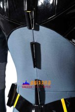 画像10: アブソリュート・キャットウーマン Absolute catwoman セリナ・カイル 絶対的キャットウーマン コスプレ衣装 abccos製 「受注生産」 (10)