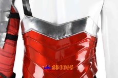 画像18: アブソリュート Absolute ワンダーウーマン/ダイアナ (Wonder Woman) コスプレ衣装 バラ売り可 abccos製 「受注生産」 (18)