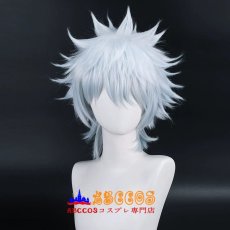 画像2: 銀魂 GINTAMA ぎんたま 坂田銀時（さかたぎんとき） wig コスプレウィッグ abccos製 「受注生産」 (2)