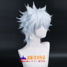 画像3: 銀魂 GINTAMA ぎんたま 坂田銀時（さかたぎんとき） wig コスプレウィッグ abccos製 「受注生産」 (3)