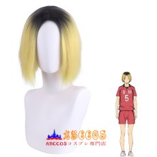 画像5: ハイキュー!! こづめ けんま wig コスプレウィッグ abccos製 「受注生産」 (5)