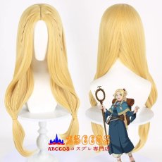画像6: ダンジョン飯 マルシル wig コスプレウィッグ abccos製 「受注生産」 (6)