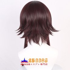 画像5: この素晴らしい世界に祝福を！めぐみん wig コスプレウィッグ abccos製 「受注生産」 (5)