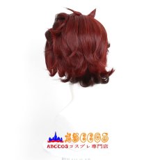 画像4: 鬼滅の刃 竈門 炭治郎（かまど たんじろう） コスプレウィッグ abccos製 「受注生産」 (4)