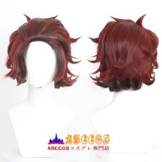 画像5: 鬼滅の刃 竈門 炭治郎（かまど たんじろう） コスプレウィッグ abccos製 「受注生産」 (5)