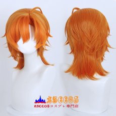 画像5: ズートピア2 Zootopia 2: Rise of the Non-Mammalians ニック・ワイルド（Nick Wilde）コスプレウィッグ abccos製 「受注生産」 (5)