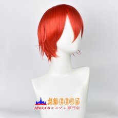 画像2: はたらく細胞 Red Blood Cell せっけっきゅう wig コスプレウィッグ abccos製 「受注生産」 (2)