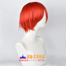 画像3: はたらく細胞 Red Blood Cell せっけっきゅう wig コスプレウィッグ abccos製 「受注生産」 (3)