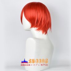 画像4: はたらく細胞 Red Blood Cell せっけっきゅう wig コスプレウィッグ abccos製 「受注生産」 (4)