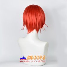 画像5: はたらく細胞 Red Blood Cell せっけっきゅう wig コスプレウィッグ abccos製 「受注生産」 (5)