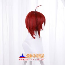 画像2: 失格紋の最強賢者 Iris イリス/アイリス wig コスプレウィッグ abccos製 「受注生産」 (2)