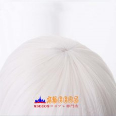 画像6: Re：ゼロから始める異世界生活 エキドナ wig コスプレウィッグ abccos製 「受注生産」 (6)