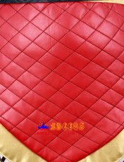 画像9: 終末のワルキューレ Record of Ragnarok 始皇帝「始まりの王」 コスプレ衣装 abccos製 「受注生産」 (9)