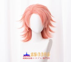 画像1: 鬼滅の刃 錆兎 コスプレウィッグ 専用ネット付 abccos製 「受注生産」 (1)